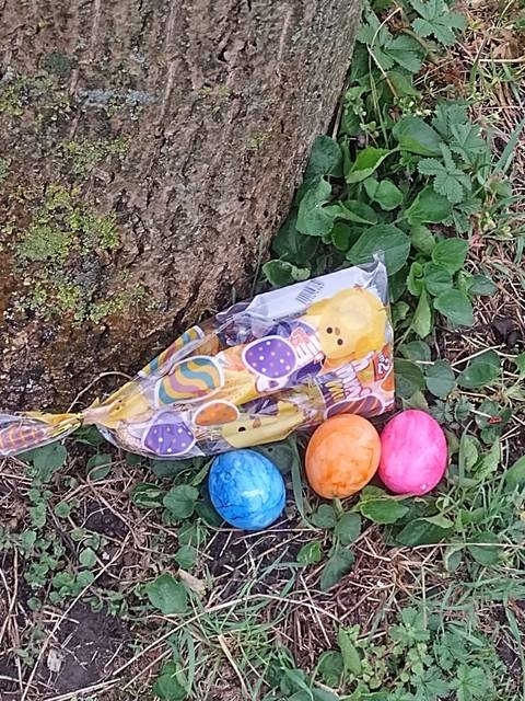 06 bde7a5d0 efcf 4629 bd2b 20feaf7767ed