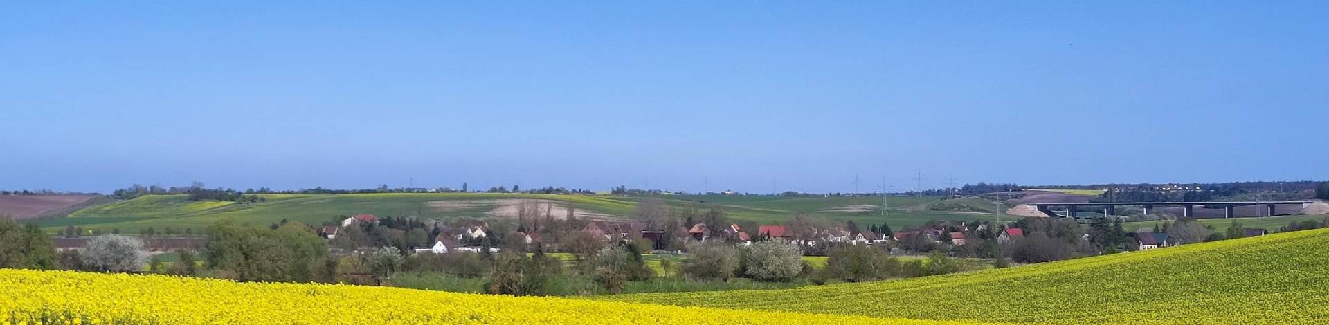 Rapsfelder bei Zappendorf