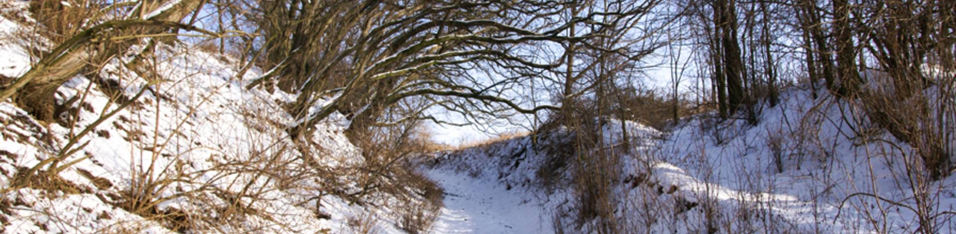 Winterlandschaft in Salzatal