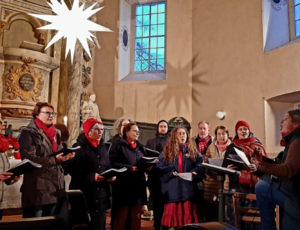 fienstedtsingers Chor