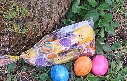 bde7a5d0 efcf 4629 bd2b 20feaf7767ed