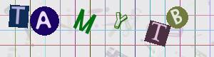 Captcha-Code - Es besteht die Möglichkeit, sich den Captcha-Code vorlesen zu lassen, klicken sie dazu auf den Button mit dem Titel 'Liest den Captcha-Code vor(Audioausgabe)'